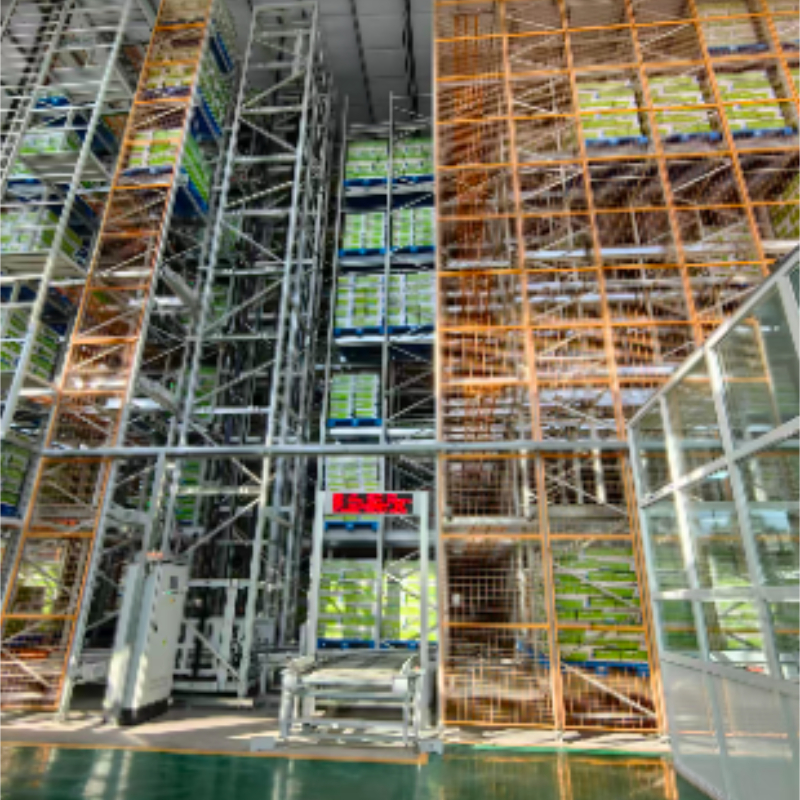 Custom one-stop ASRS solutions for logistics, auto, food and pharmaceutical warehouse storage.